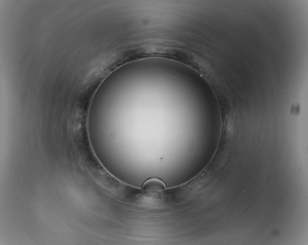 X0000113050567200908271534