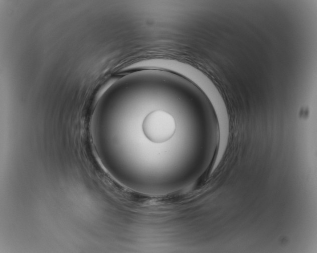 X0000113050568200908271534