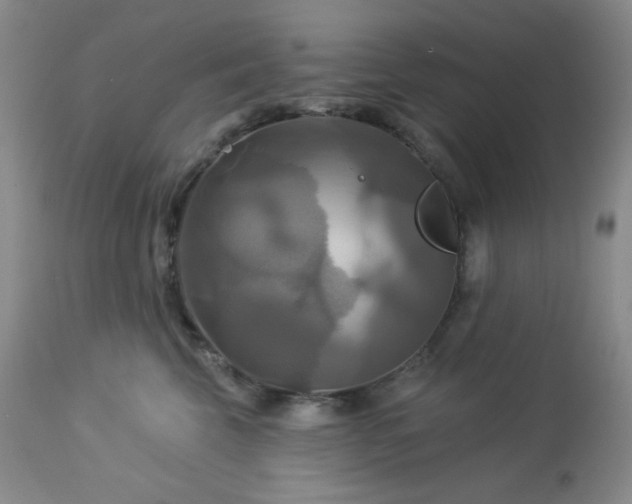 X0000113050569200908271534