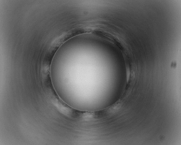 X0000113050574200908271534