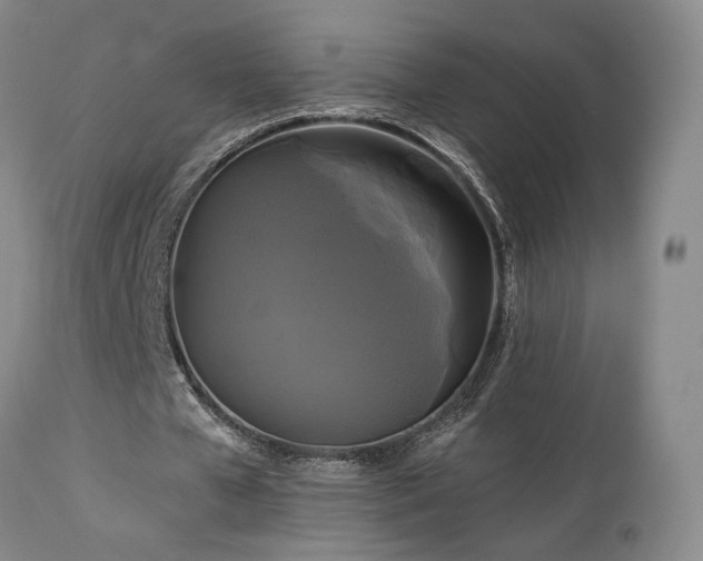 X0000113050577200908271533