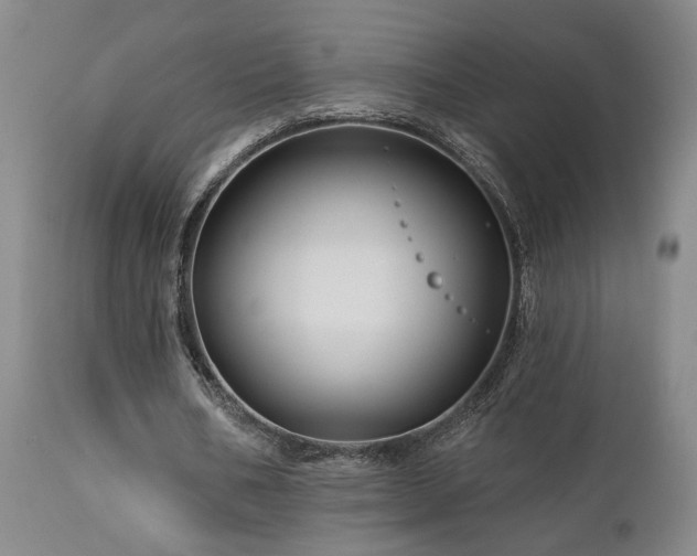 X0000113050578200908271533