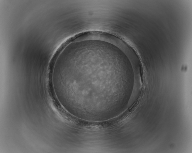 X0000113050580200908271533