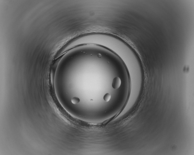 X0000113050581200908271533