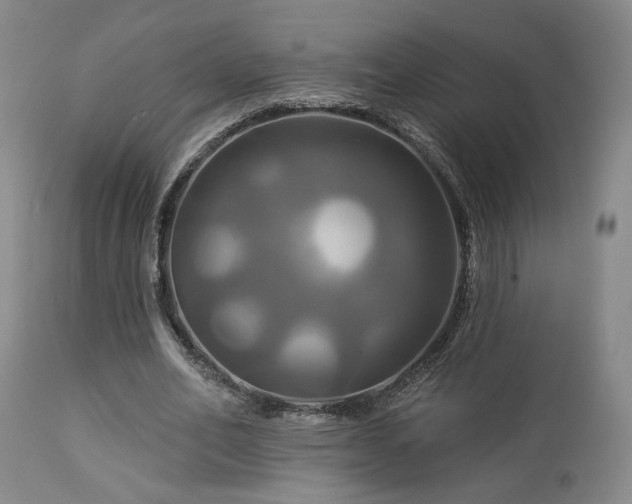 X0000113050582200908271533