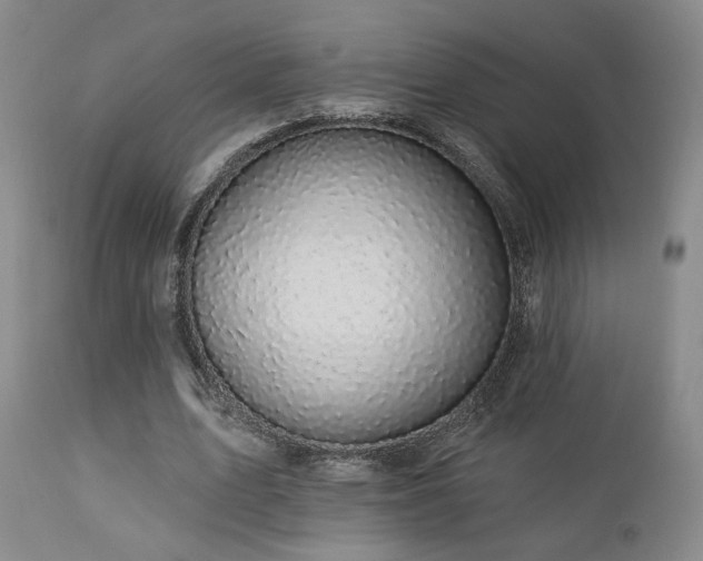 X0000113050583200908271533