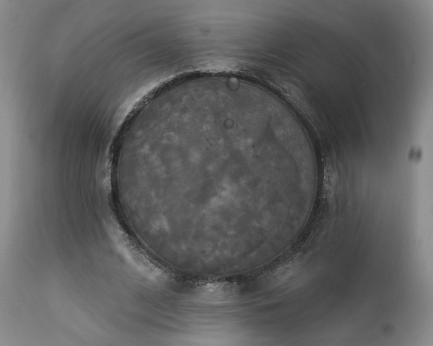 X0000113050584200908271533