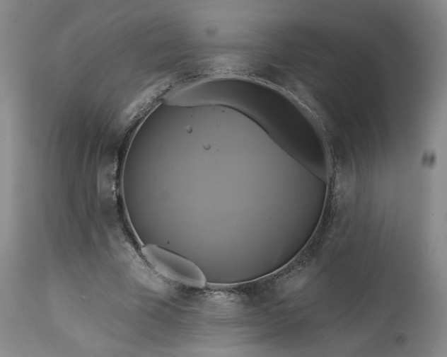 X0000113050585200908271533