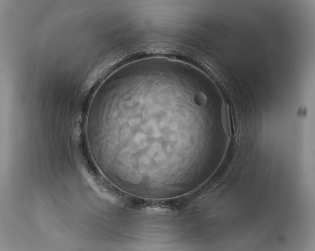 X0000113050586200908271533