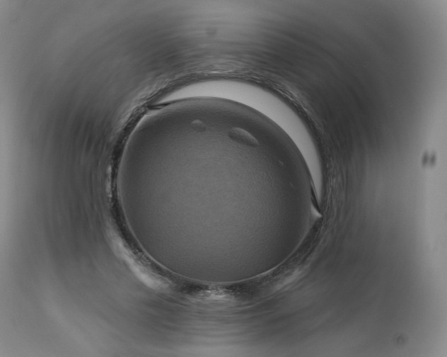 X0000113050589200908271533