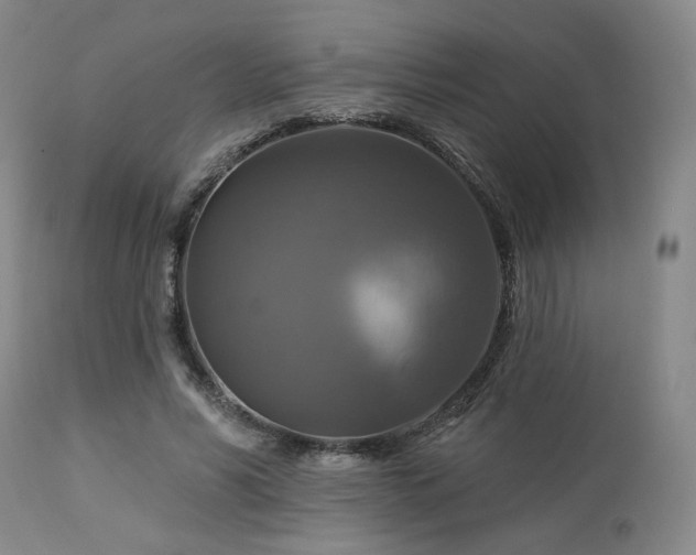 X0000113050590200908271533