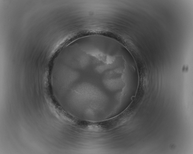 X0000113050591200908271533