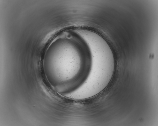 X0000113050592200908271533