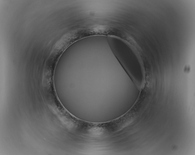 X0000113050593200908271533