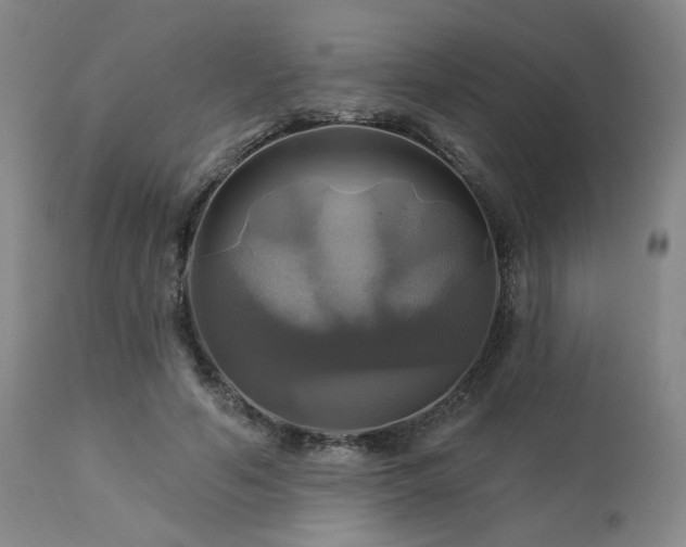 X0000113050594200908271533