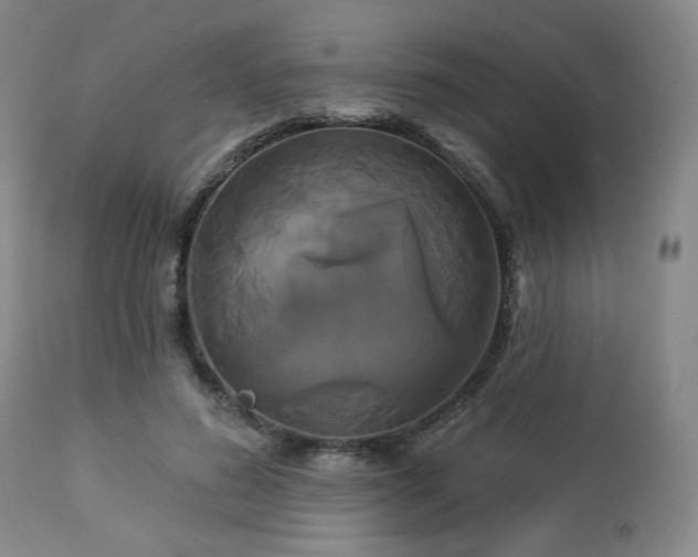 X0000113050596200908271533