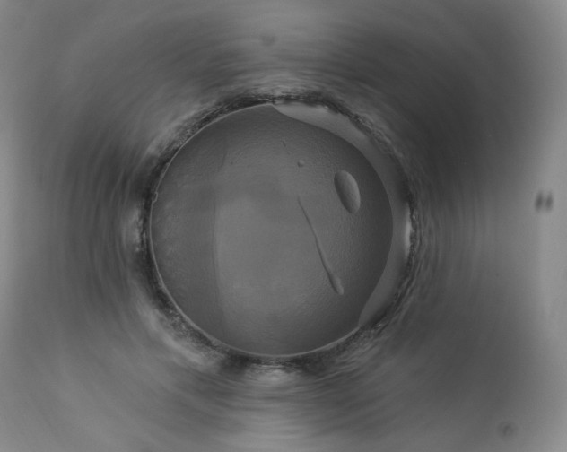 X0000113050597200908271533