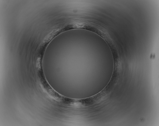 X0000113050598200908271533