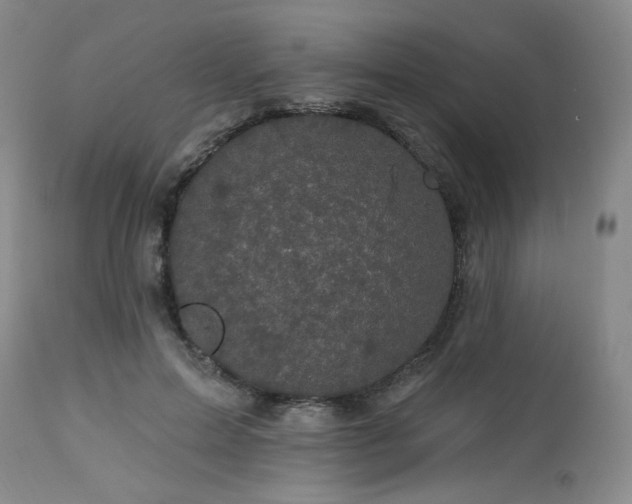 X0000113050599200908271533