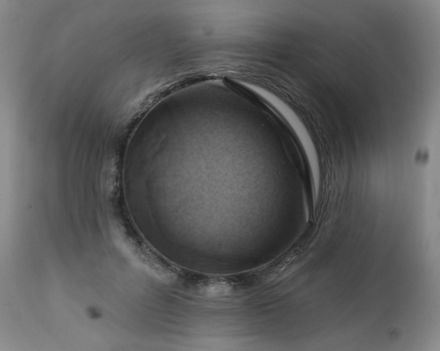 X0000113050600200908271533