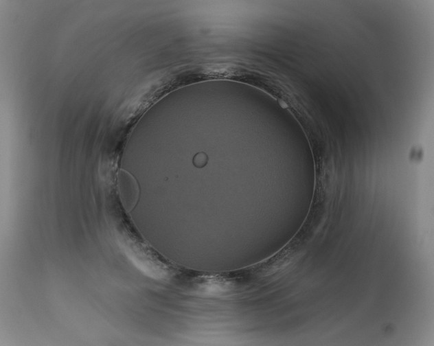 X0000113050601200908271533