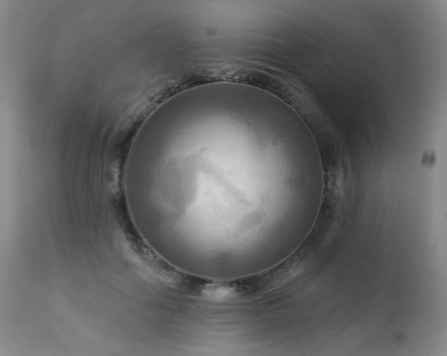 X0000113050602200908271533