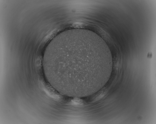 X0000113050603200908271533