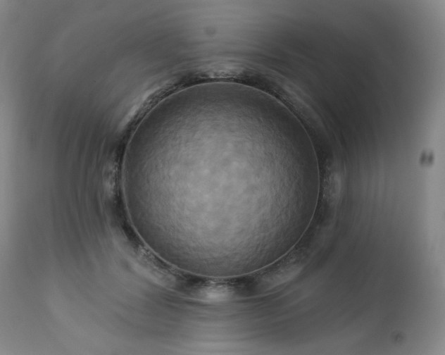 X0000113050604200908271533