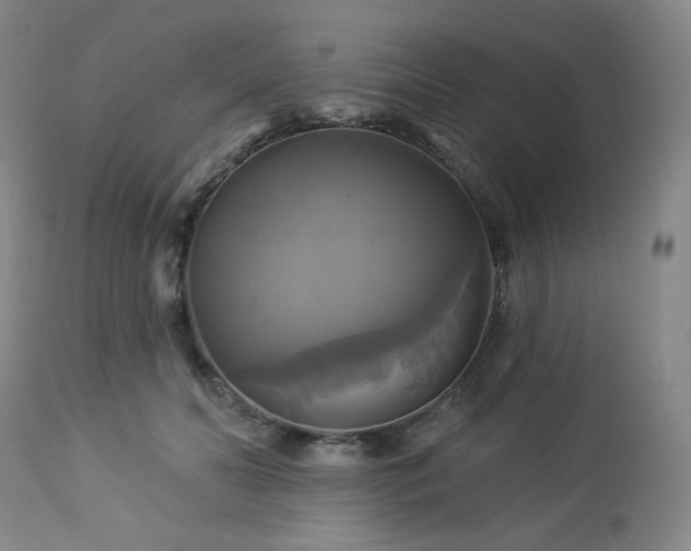 X0000113050606200908271533