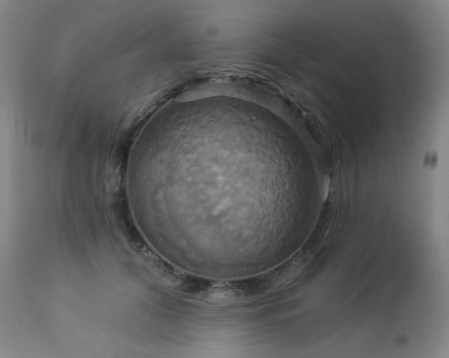 X0000113050608200908271533