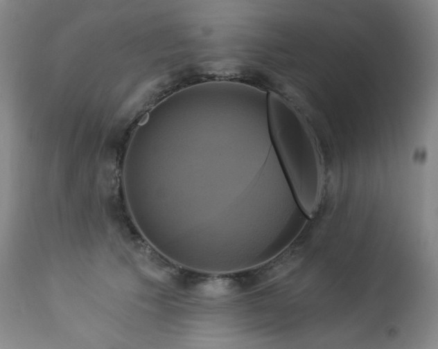 X0000113050609200908271533