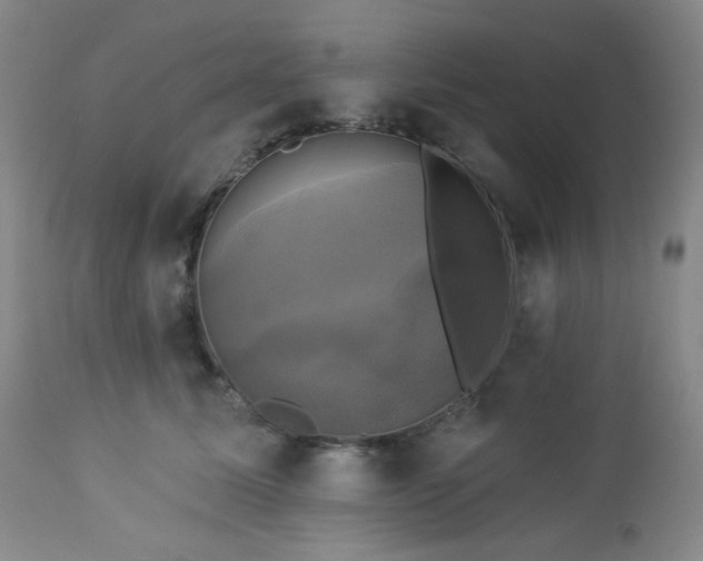 X0000113050611200908271532