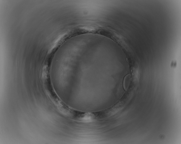 X0000113050612200908271532