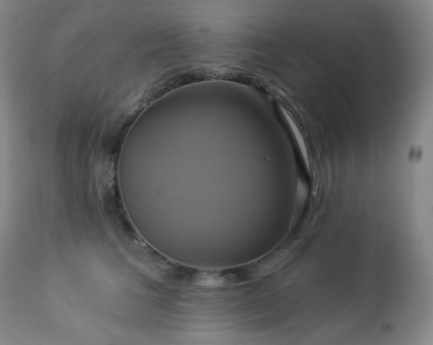 X0000113050613200908271532