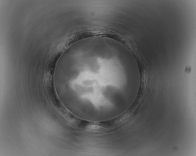 X0000113050614200908271532