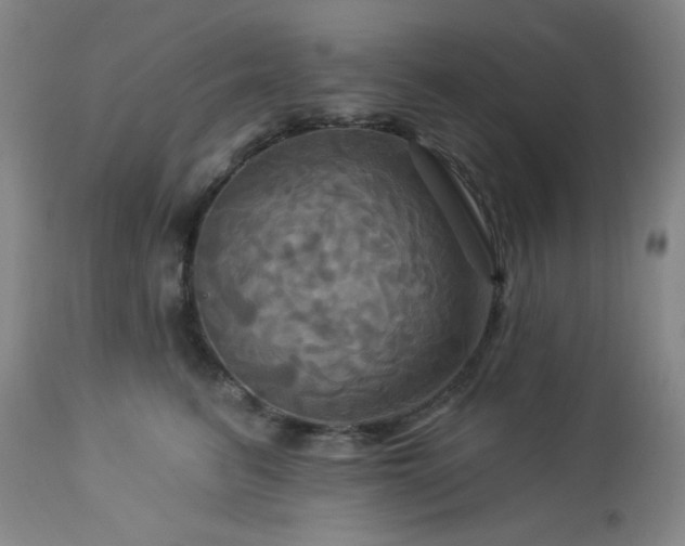 X0000113050615200908271532