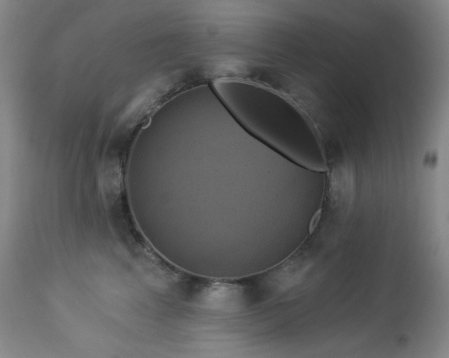 X0000113050617200908271532
