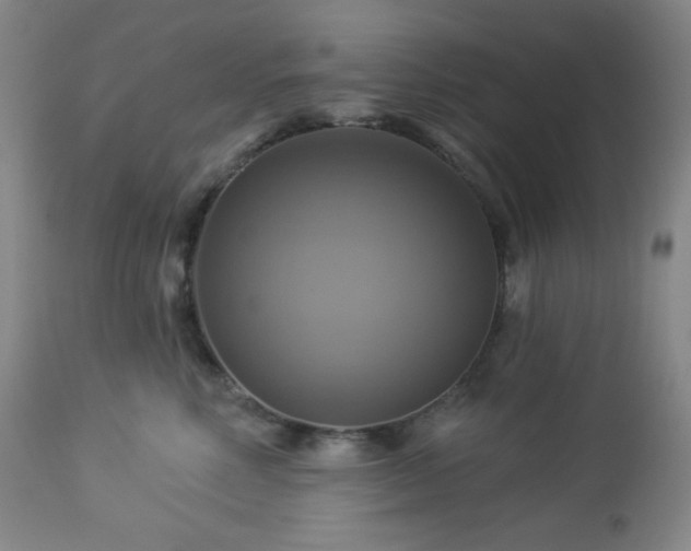 X0000113050618200908271532