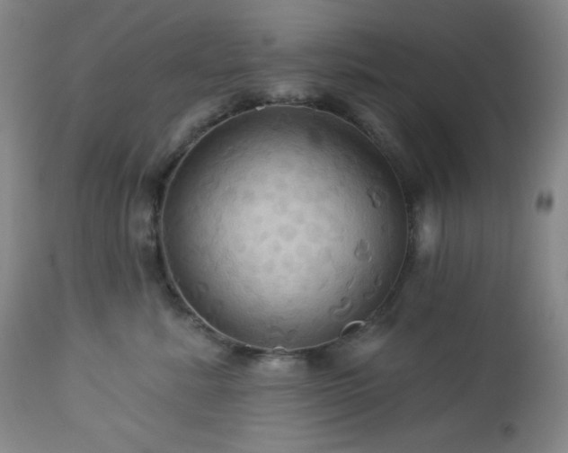 X0000113050619200908271532