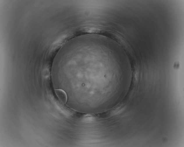 X0000113050620200908271532
