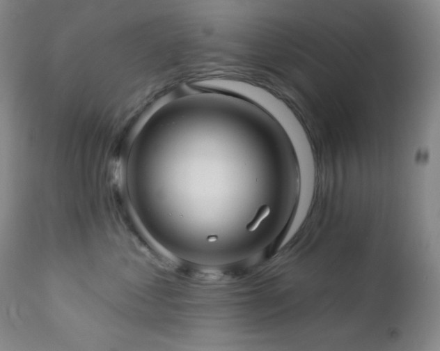 X0000113050621200908271532