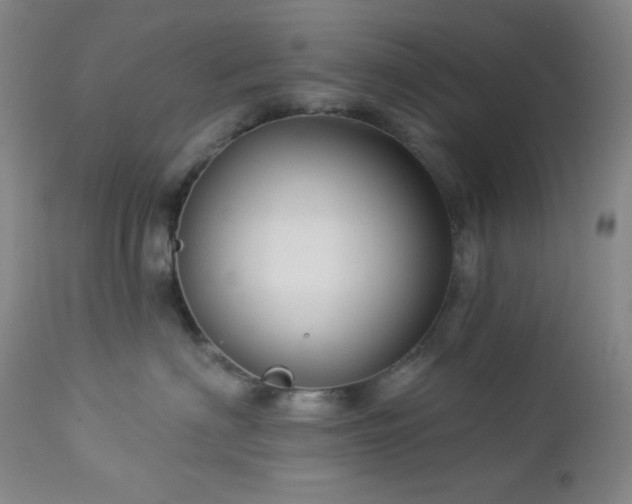 X0000113050622200908271532