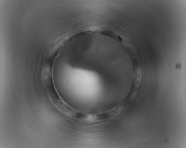 X0000113050623200908271532