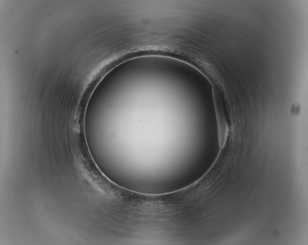 X0000113050628200908271532