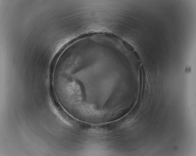 X0000113050630200908271532