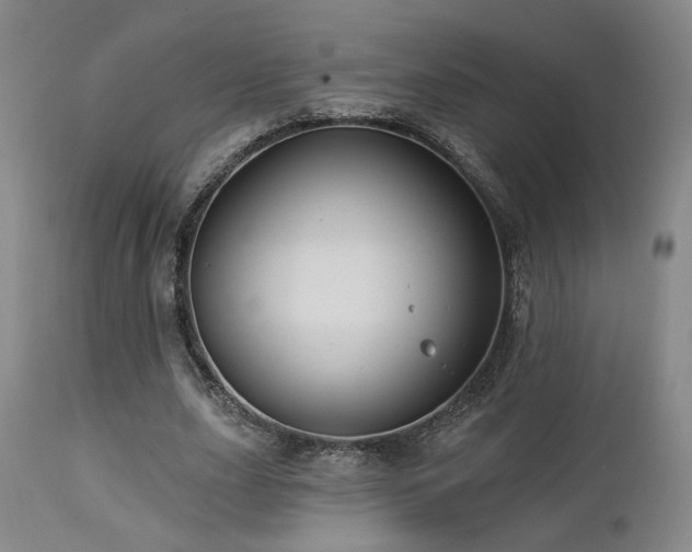 X0000113050631200908271532