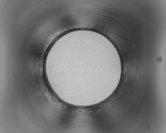 X0000113050632200908271532