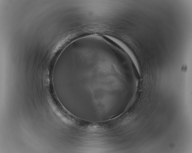 X0000113050634200908271532
