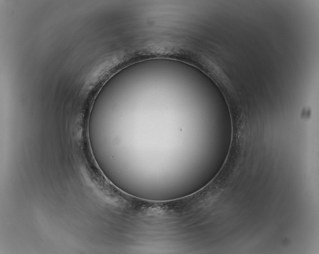 X0000113050635200908271532