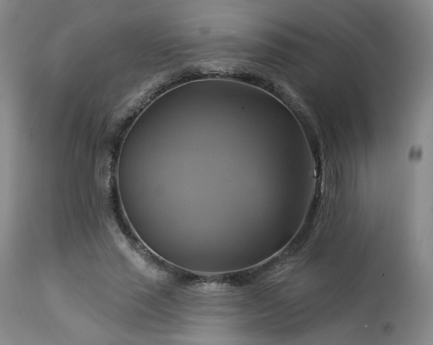 X0000113050637200908271532